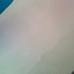 Meet your Posher, Donnie